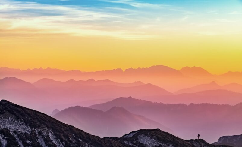 Maximize Muscle Recovery with BCAAs